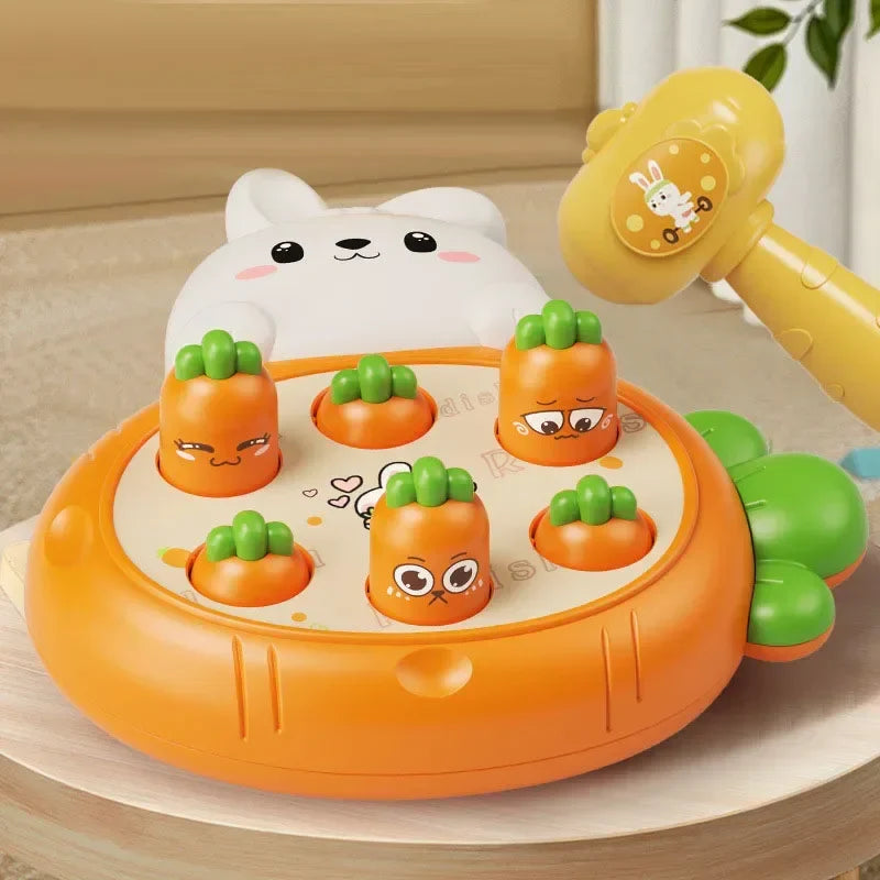 Multi-Variant Educational Sensory Toy for Children - Learning & Development