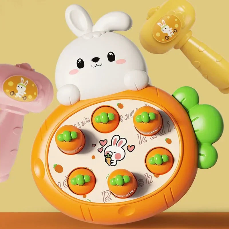 Multi-Variant Educational Sensory Toy for Children - Learning & Development