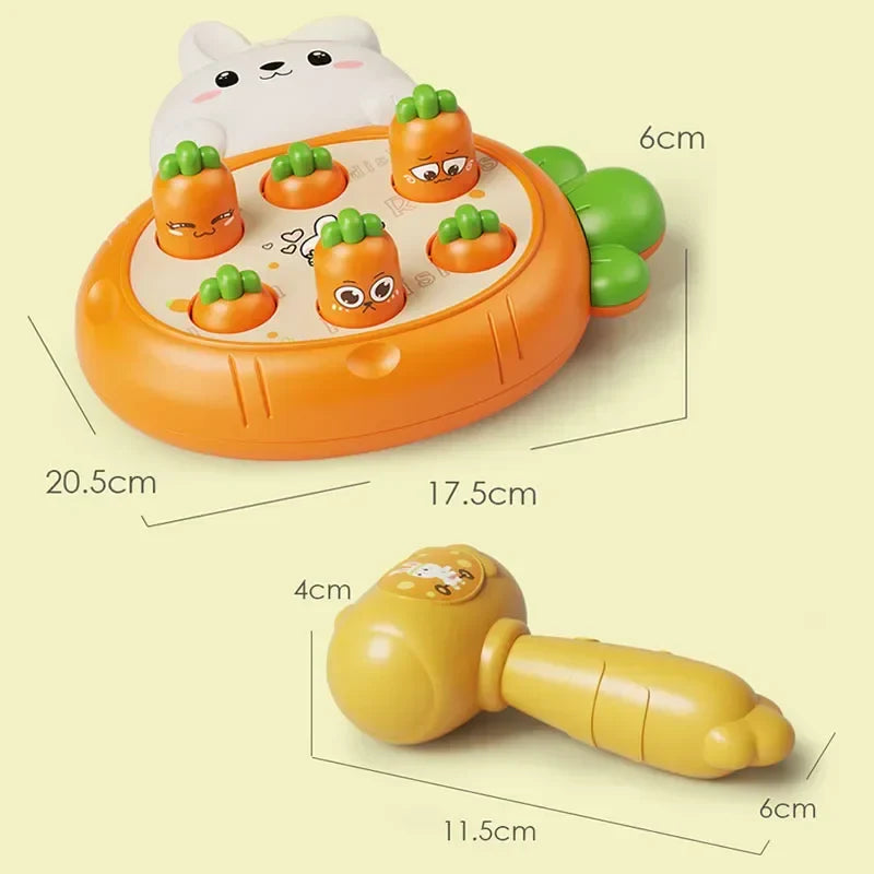 Multi-Variant Educational Sensory Toy for Children - Learning & Development